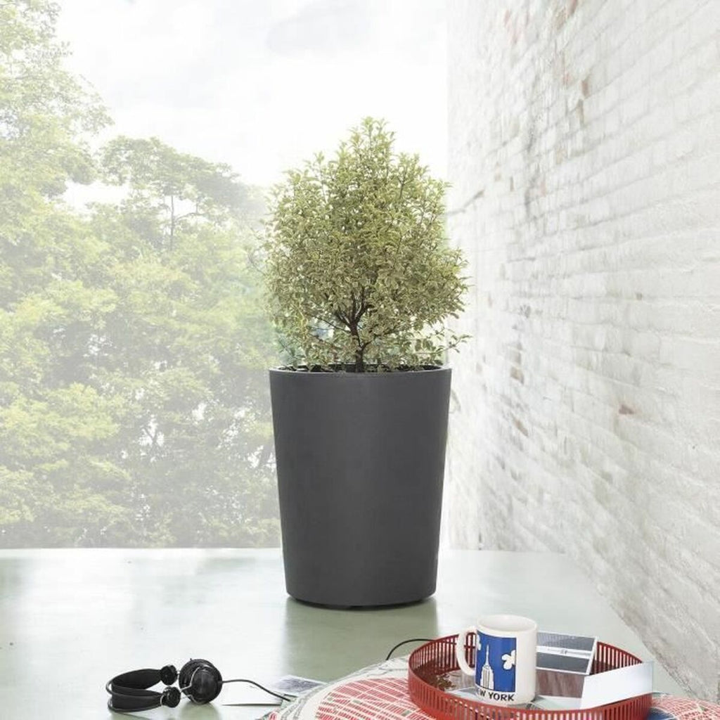 V4HB351F8B1ABEBF483E467F59FC8CAEF2ER7383724P3