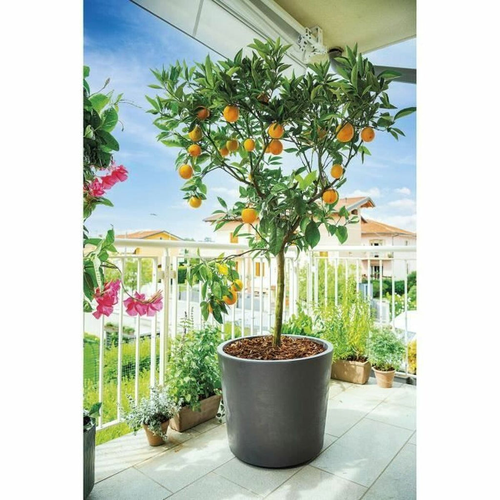 V2H16FF84A8C64C2FC061442ED10156E487R6704726P6