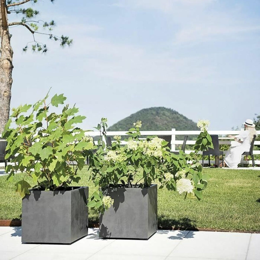 V4H9ED1967582F903DE9AFEF2C52CCCF9A9R7023766P6