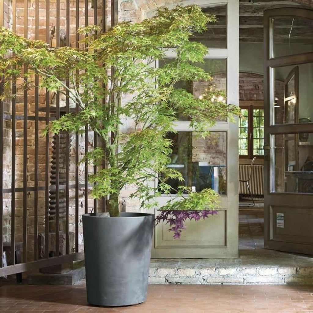 V5H98FB2B21400CF2C49EEF35893733E883R7383762P4