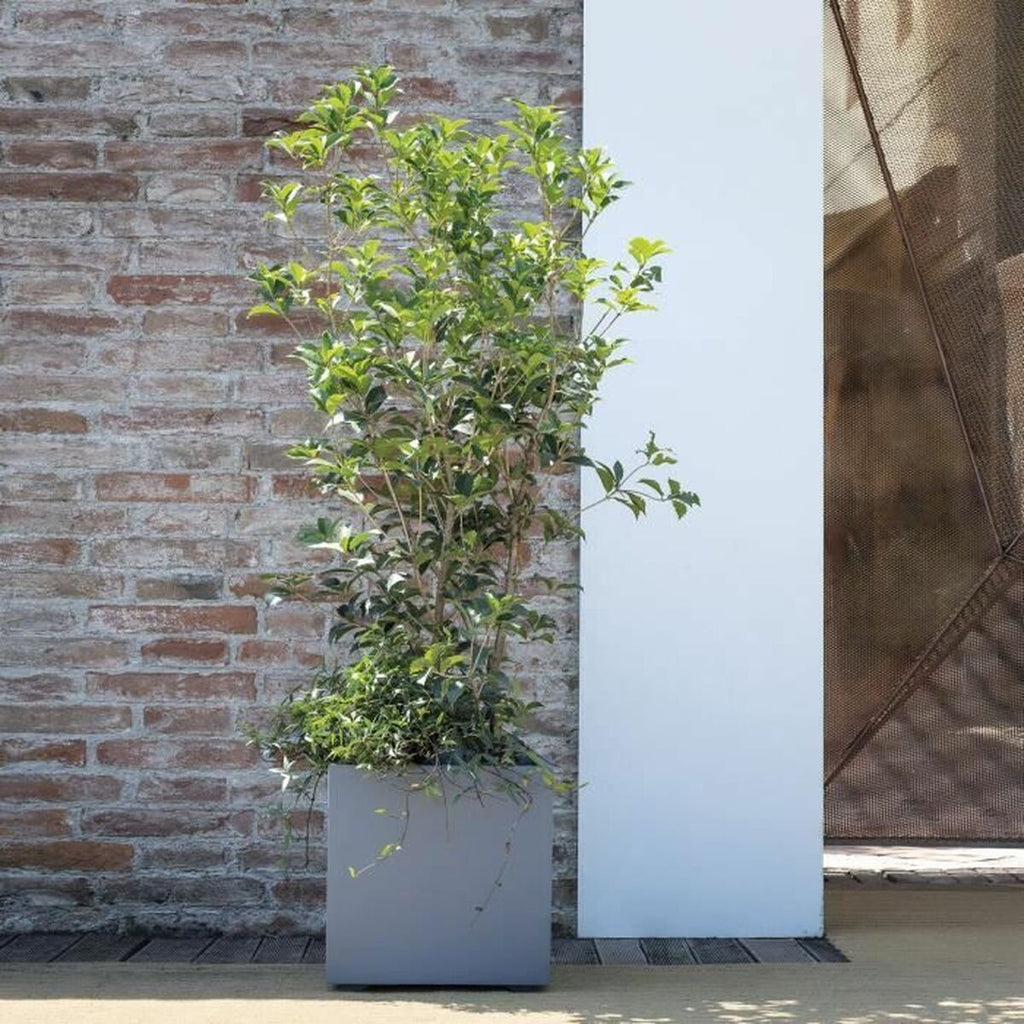 V3H4BD9B477E9C1633E8F6FFFF970988A73R5927905P2