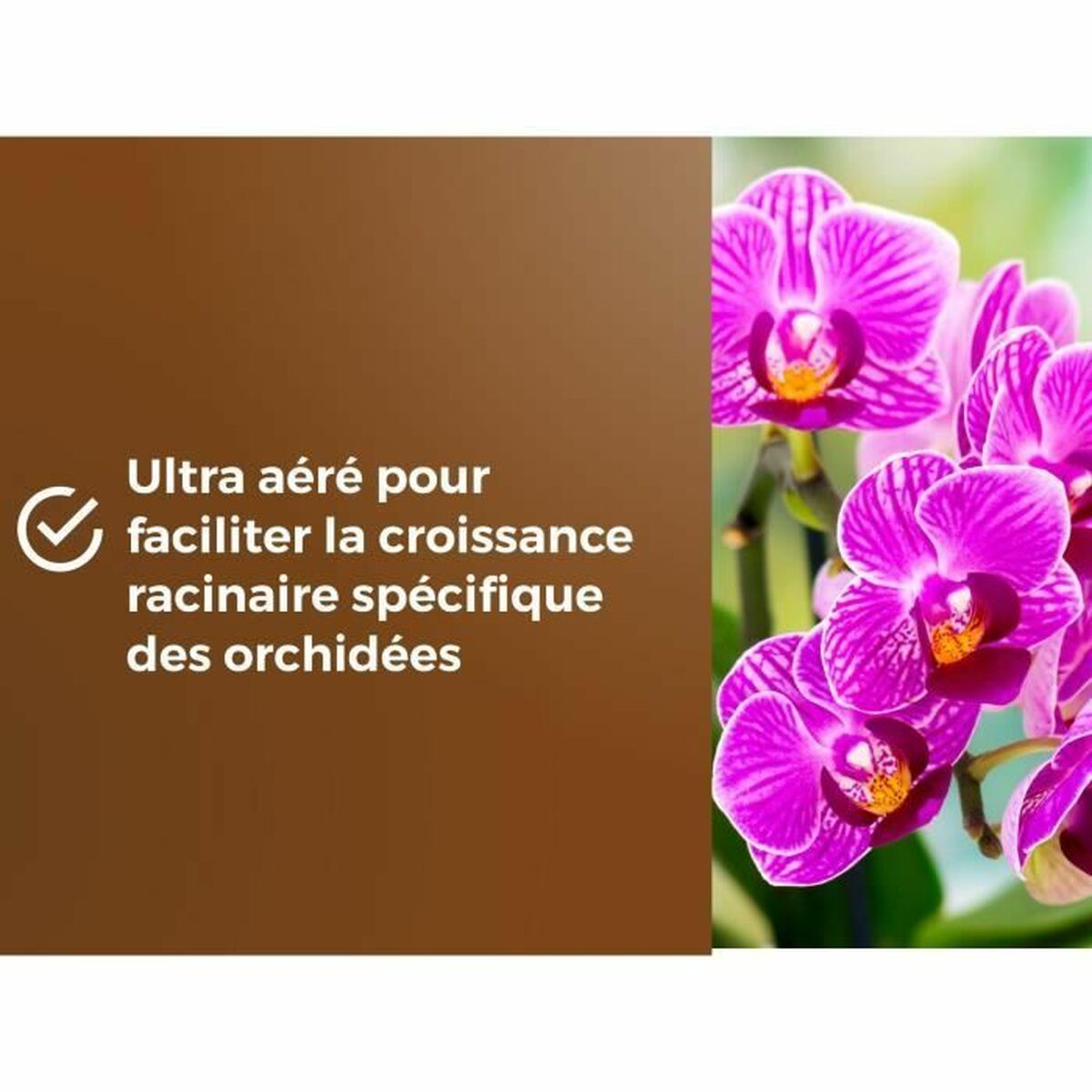 V3HA561B30F8D28E34140CAAD3F947C2C4ER5966080P5