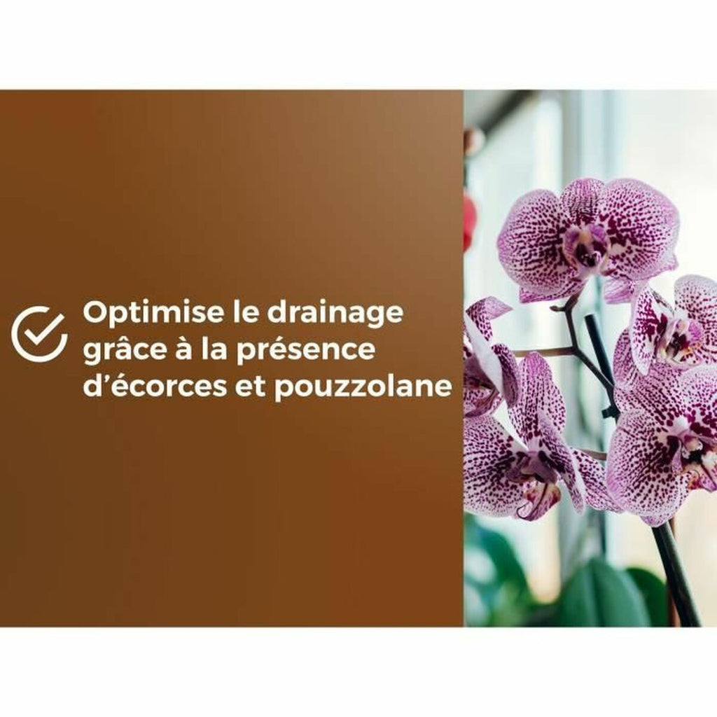 V3HEC095545948EBC7B8C992759B1CA2228R5966082P6