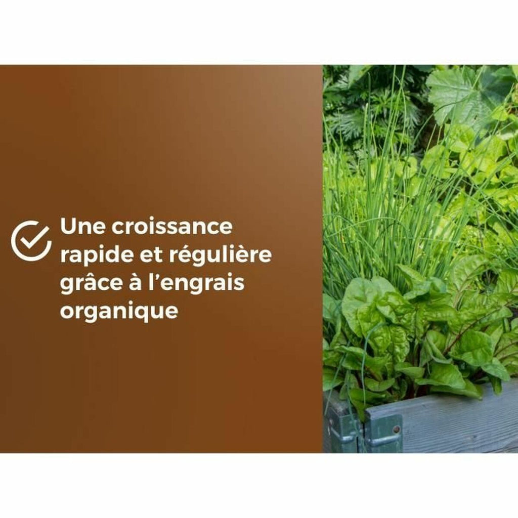 V3H80D46C59EA554F70837508E2E9A3506FR5966238P4