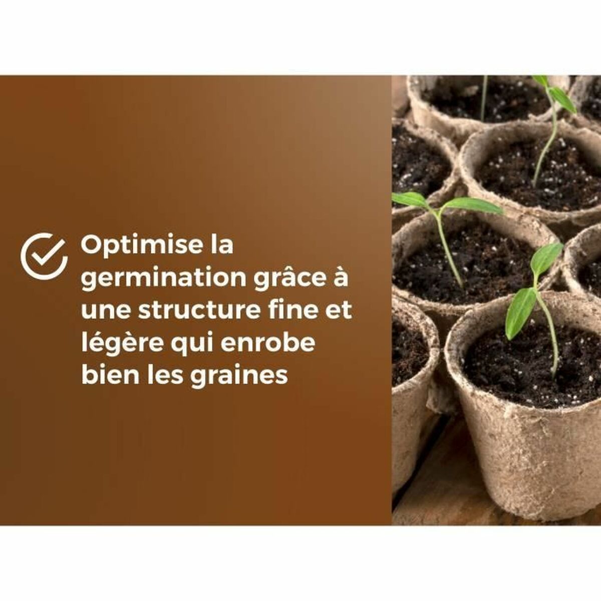 V3H6F5BDFE30C29DC89ECEE322136A3B341R5809337P4