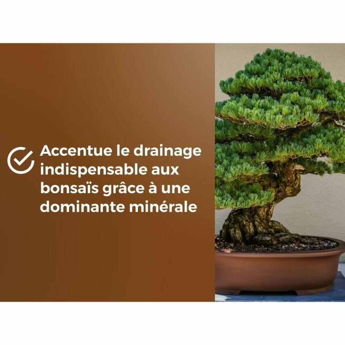 V2H42F2CD65800433196C1EB5F4B5EEA1D7R6736617P4