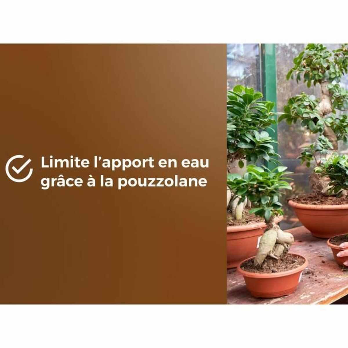 V2H3A9D4422A59490F28274557EED402391R6736618P5