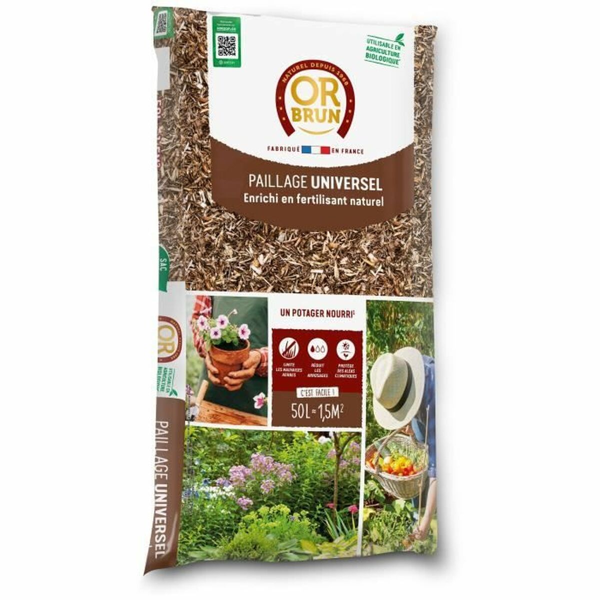 V4H33A496D43F179CD11BEA221BAA18ABBBR5179264P1