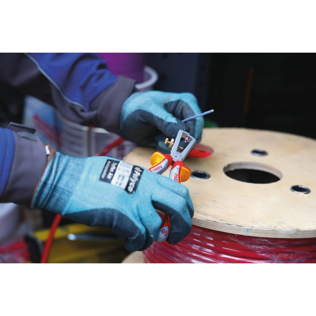 V3H80C3FC5F98D600A3ED389B5CB5F08BC1R6616528P6