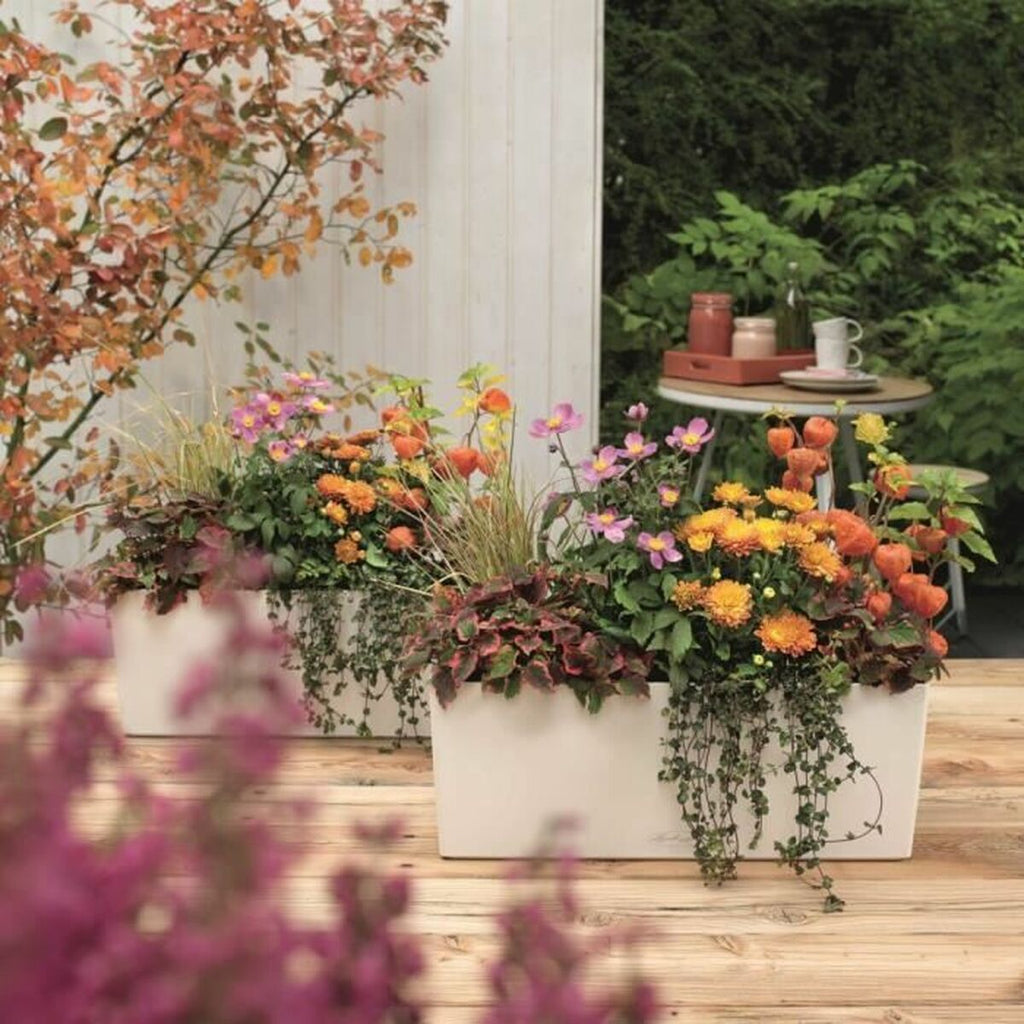 V3H6B24735D8B2724C1C7BDFFD1A8C63915R5837910P7