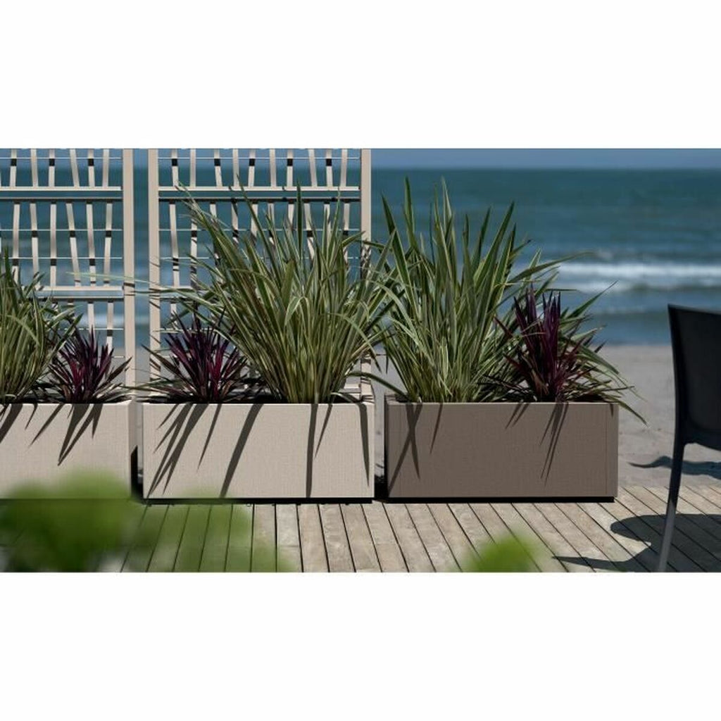 V6H47CFD00D7442B7D07E1D0755E7D4B208R4009784P2