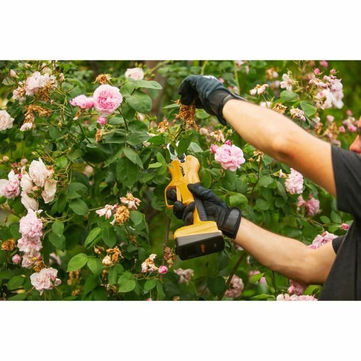 V6HC3A93FB876BB96C191D3D8618EEC8E4DR4095424P4