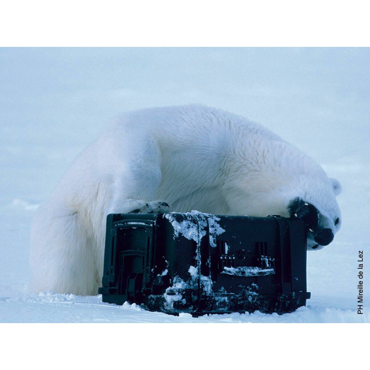 V2H8540548E4A97F62ECF51BD17CCD53EDER7121723P5