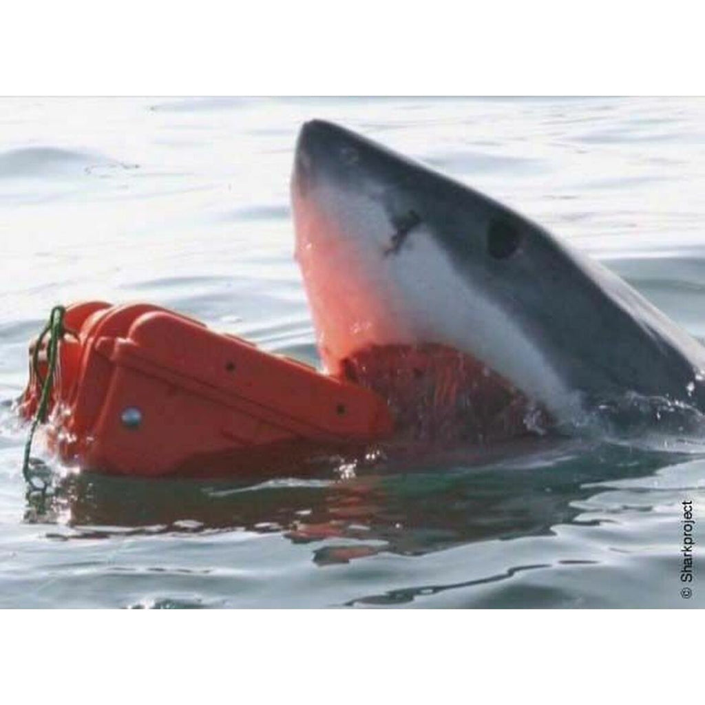 V2H87EC95624924A558270C4CE4E442FFA1R7121724P6