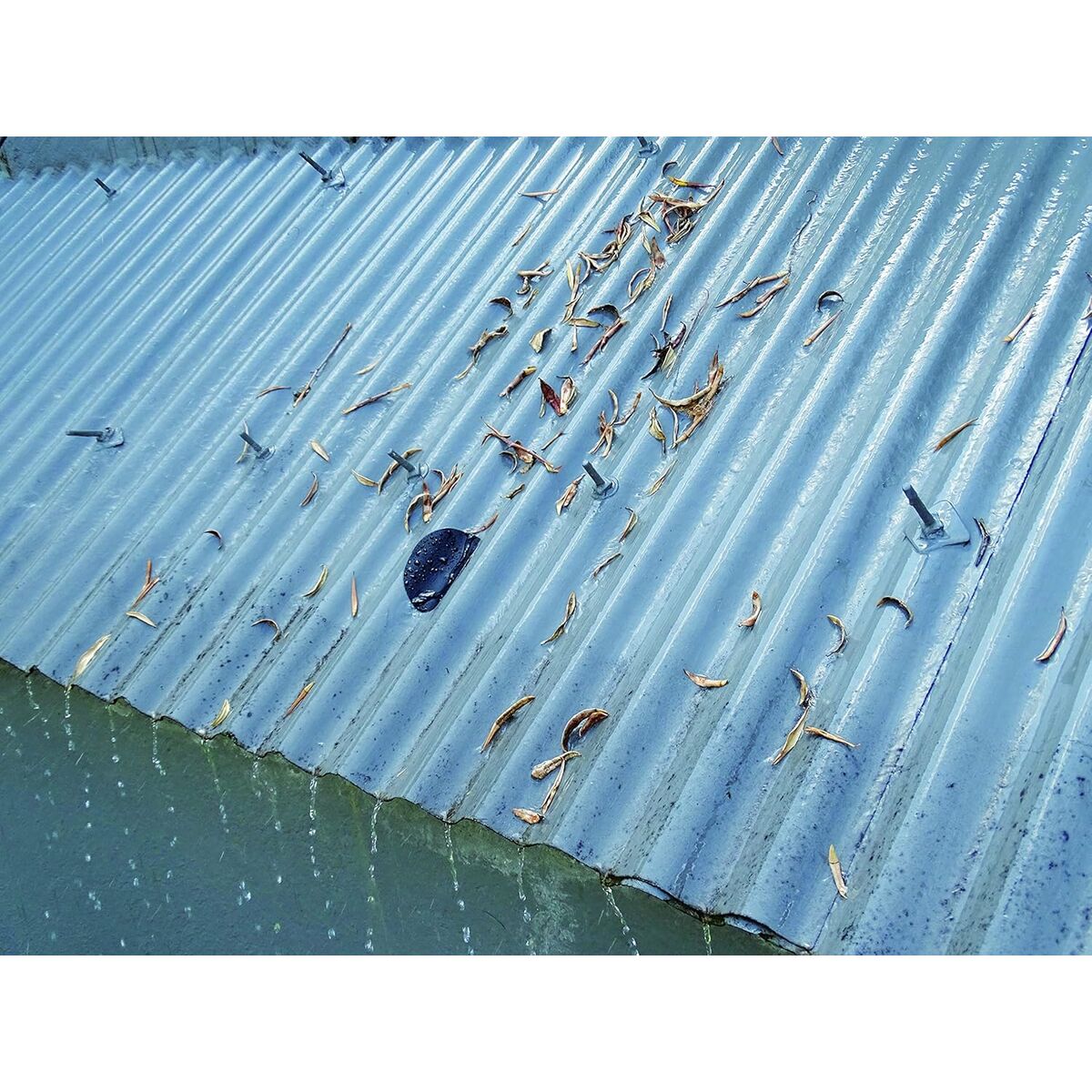 V2H3772E492E612C9E72F1FF0DA358A1334R7428259P4