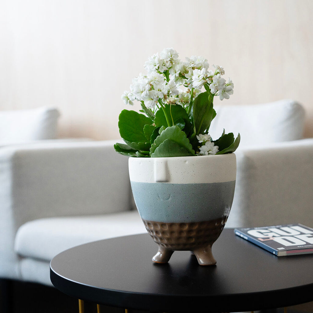 V8H940041C0D7E0F9F9A376D84FD2792FDER5340598P2