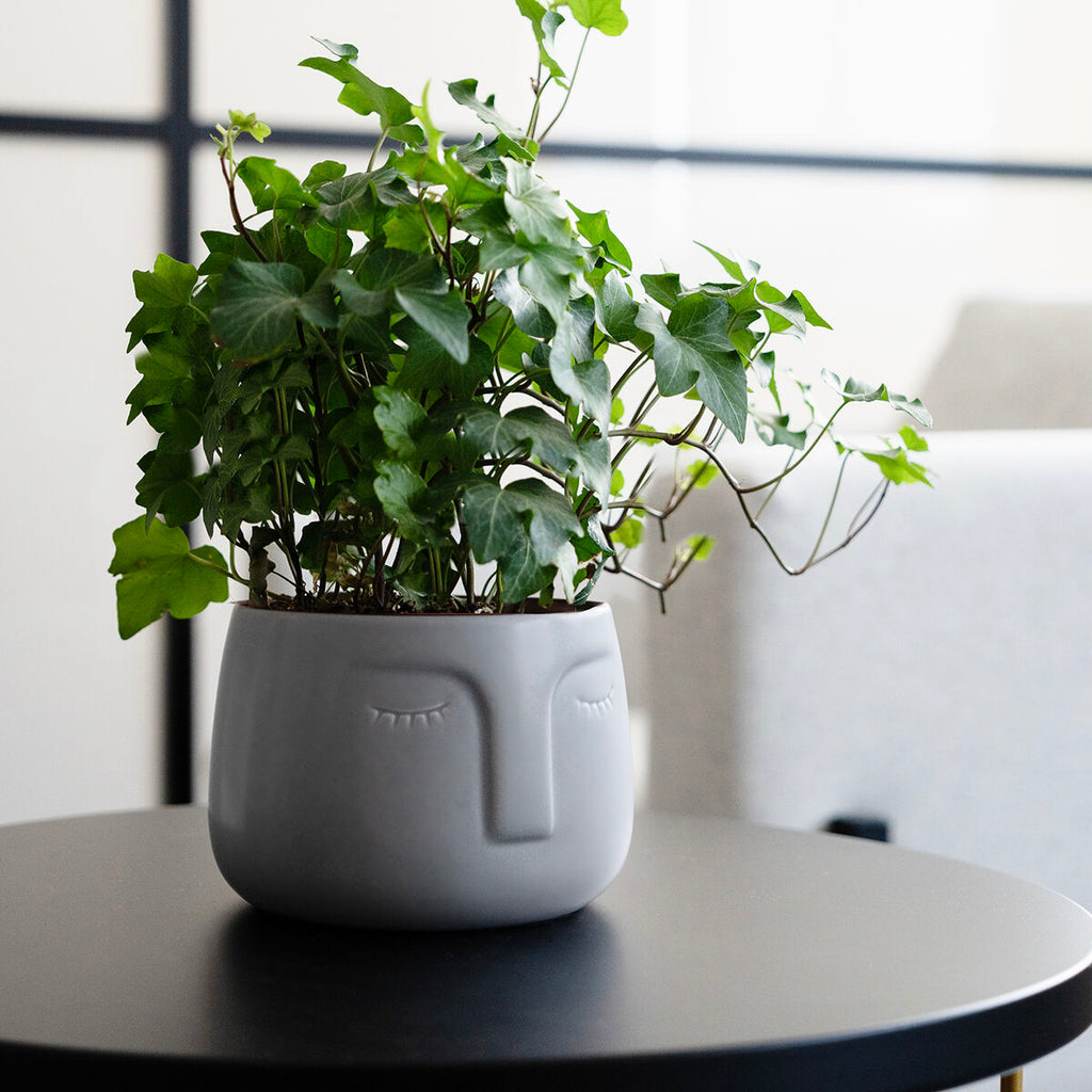 V7H07A6E11D06BFCEB9436E05250A644B86R5340603P2