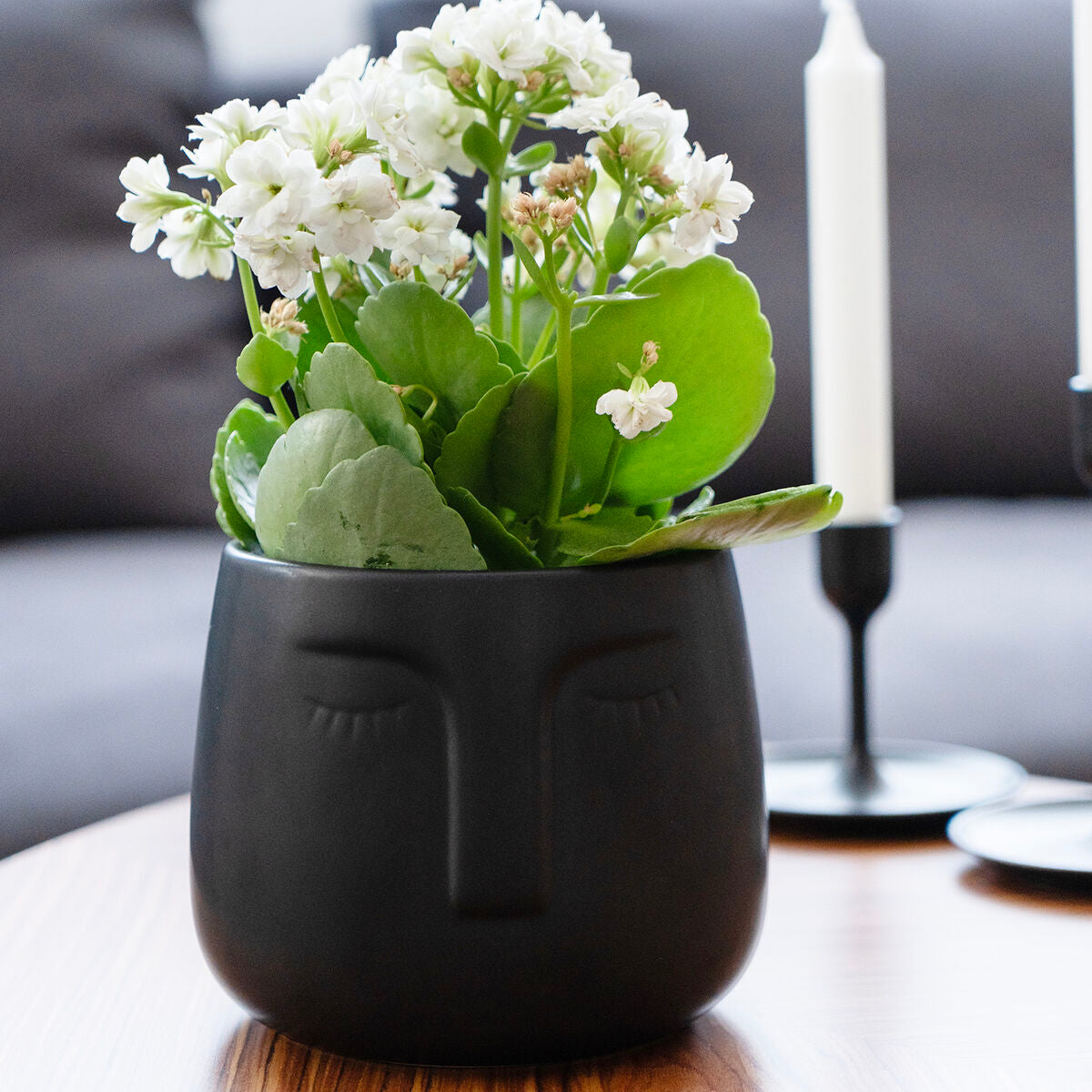 V8H7CA7243AFBFAC5C55389370C6E0377DBR5340575P2