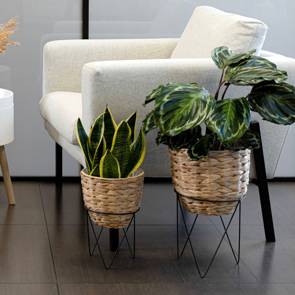 V4H02020842904B4FBB507611BAED010612R5341446P4