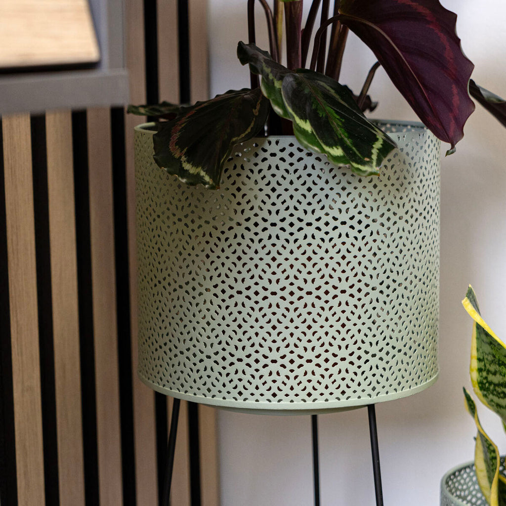 V4H4F880647457252129ECFA56C5C0E8735R5315067P8