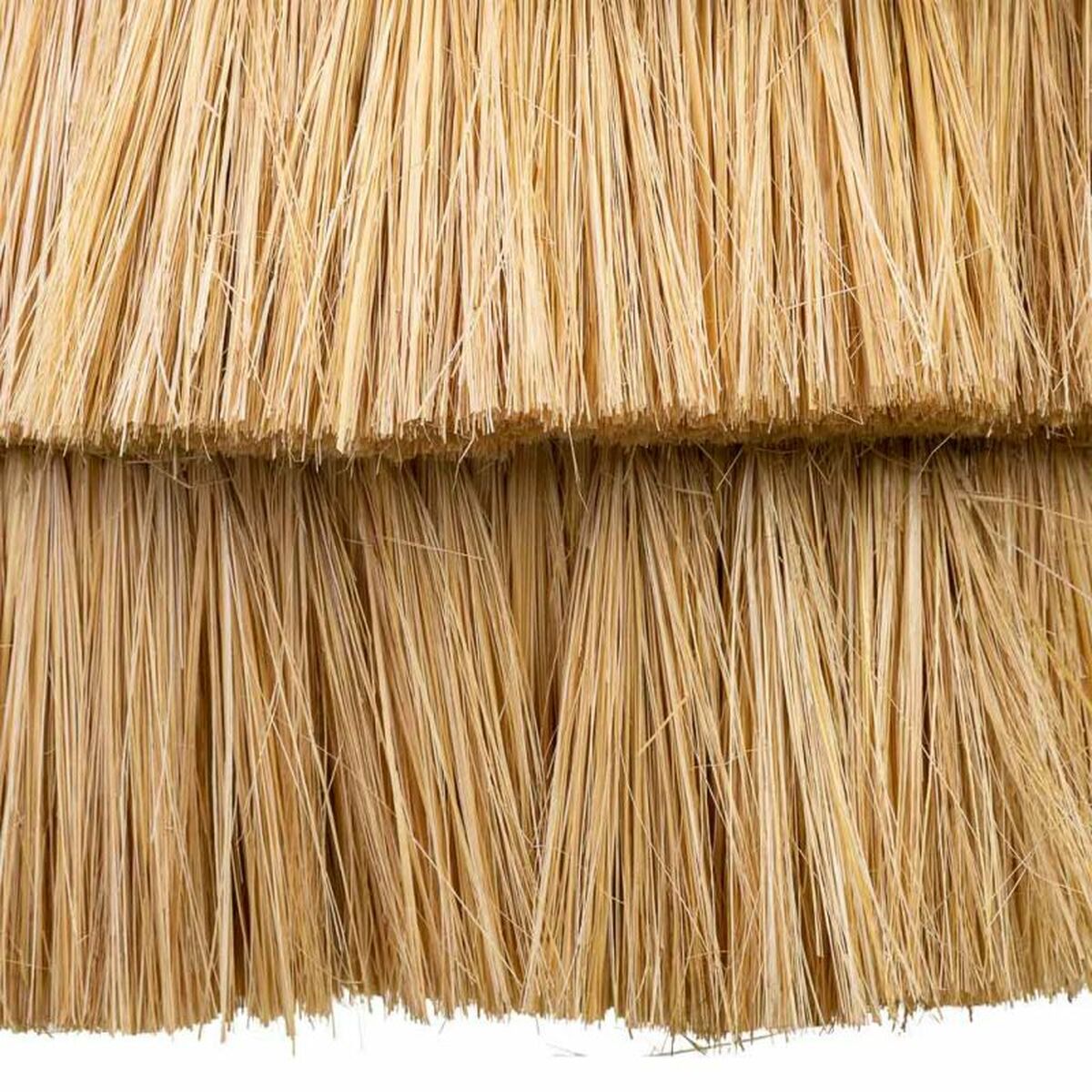 V4H9B3804FE0D62BF524339C1C2D4DB11EAR4930118P5