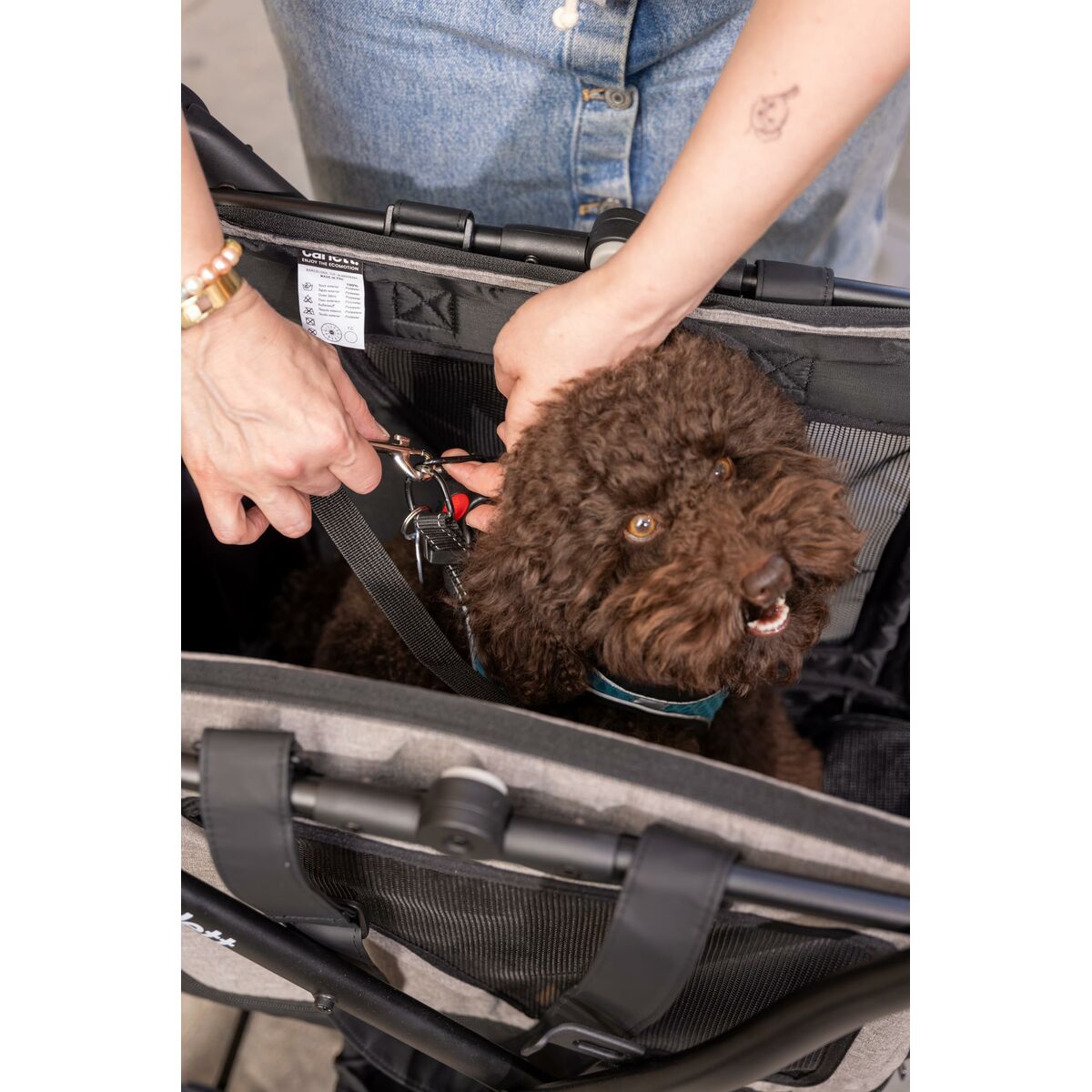 V2HAE2BF44DE0E8CBF2900F55603A1654E0R6716261P5