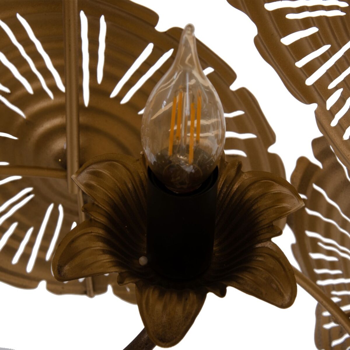 V5H0DC4986546AA7CDE96C3DAA7DAE9390FR2456756P3