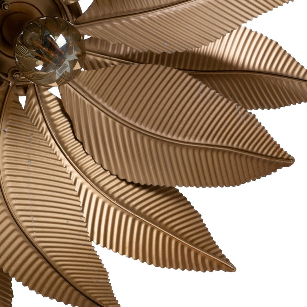 V5H86D3125BC43B545F28F4DCFE2B4497FBR2456958P4