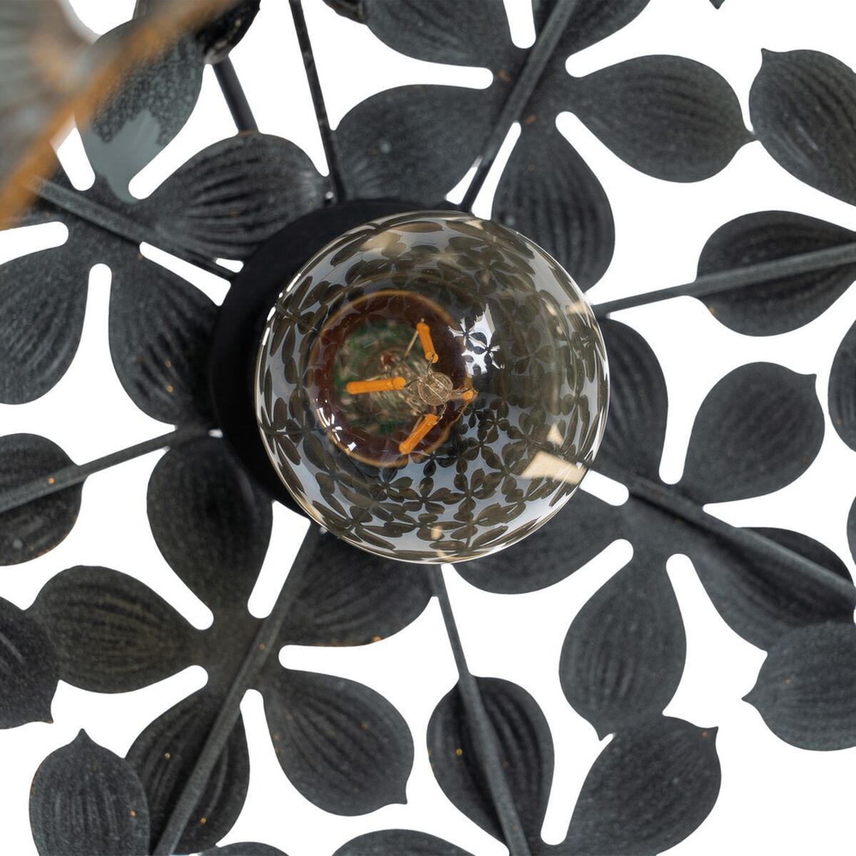 V5H4464BED5622CD4C673F35DB5D5FC09A6R3674663P3