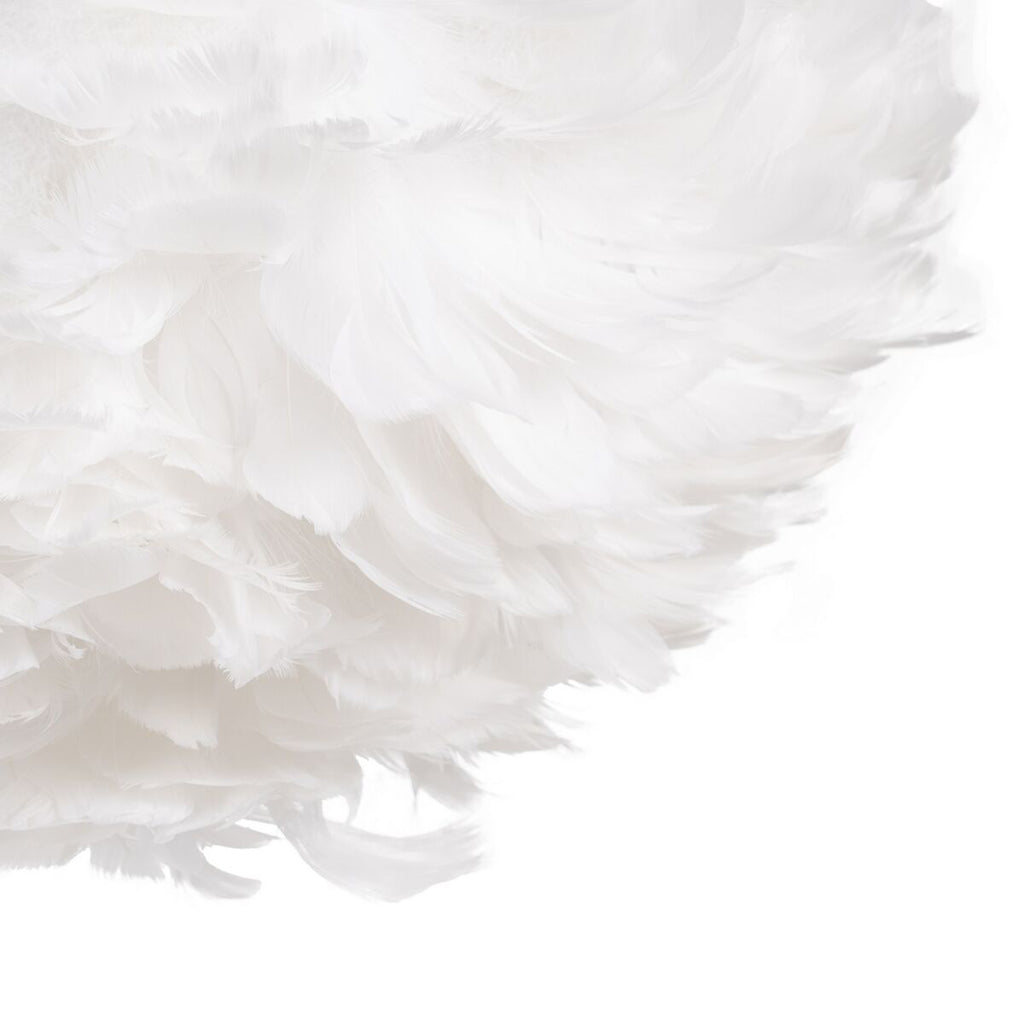 V4H2CDD67E88510CA95434DFE44DD4B0172R4602655P2