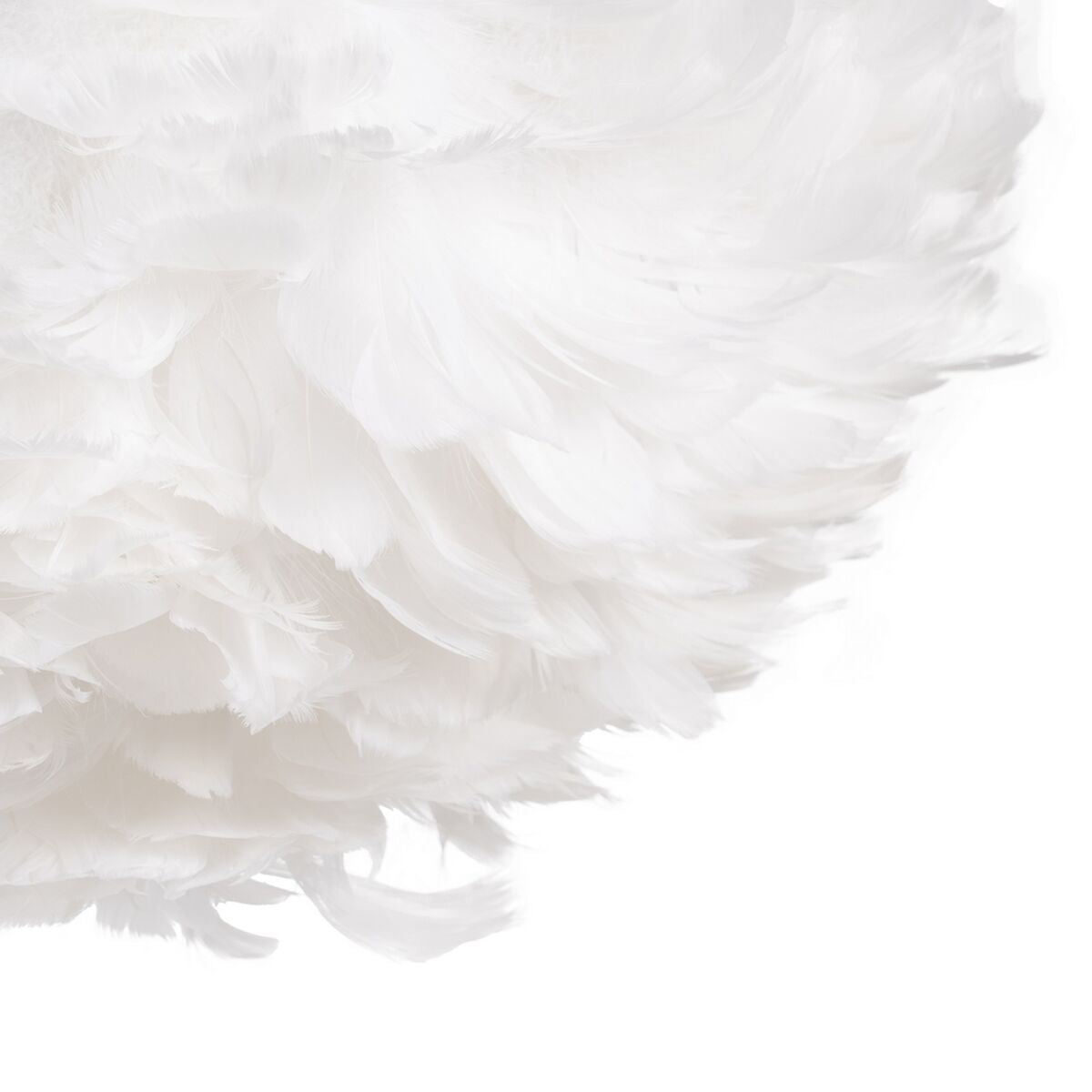 V4H2CDD67E88510CA95434DFE44DD4B0172R4602655P2