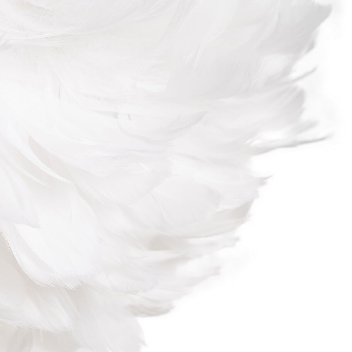 V4H0375CD6F899CCD6A9E9C427402C43D85R4602659P5