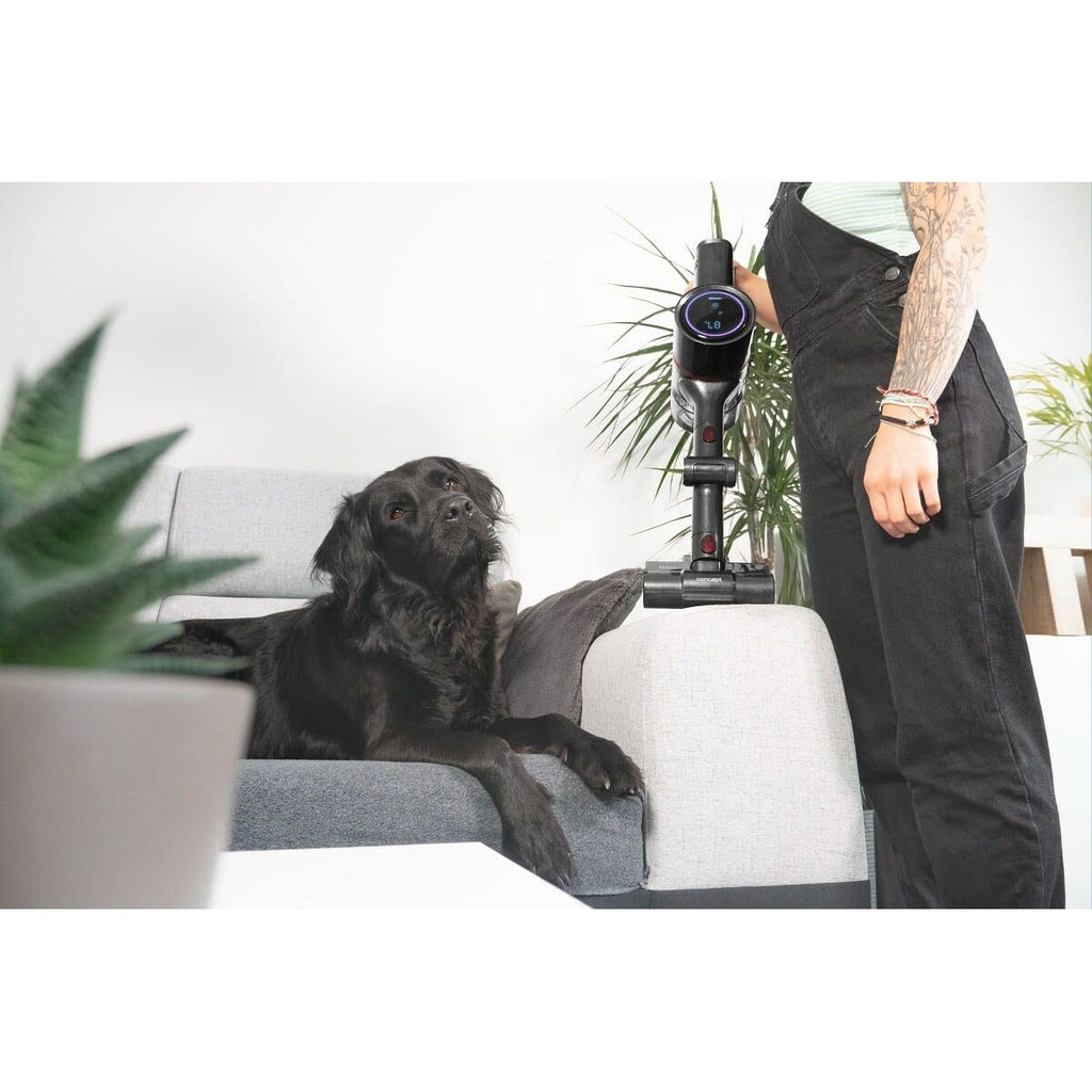 V4H0BF31A5FD242E258D82090F7E5DFAB6DR6413095P9