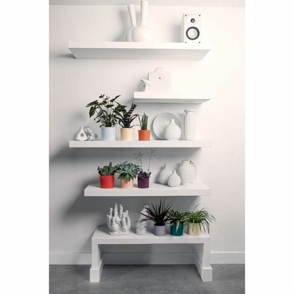 V3HA3C535C5ABF68C9B3ADAA71C7E879CB3R5780246P6