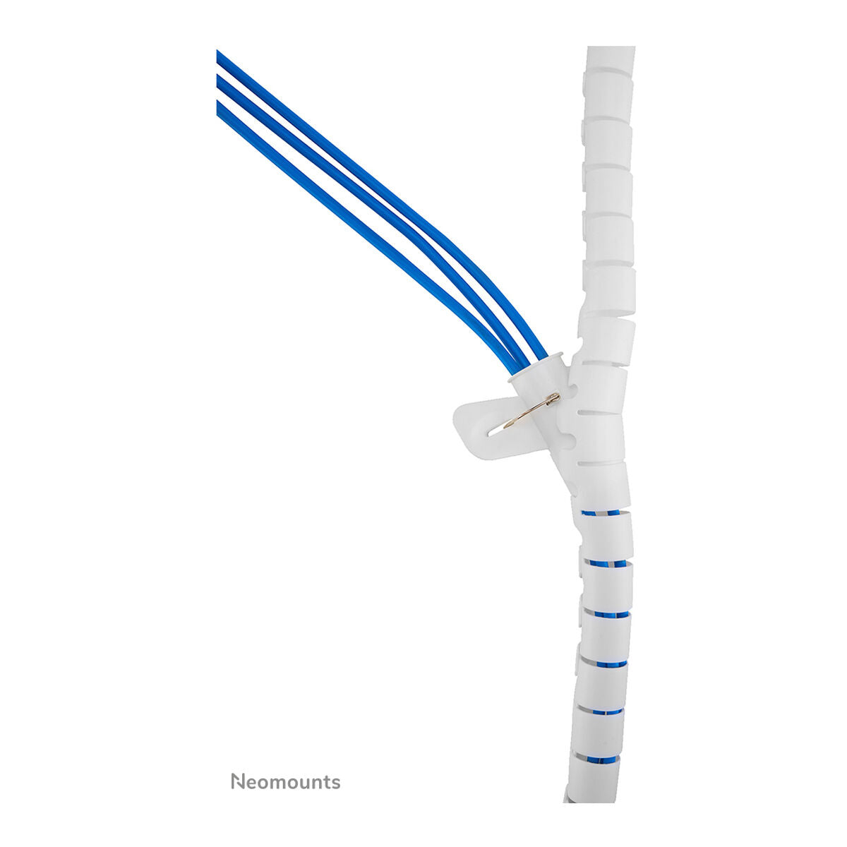 V2H89D2DAEBCB1D6DF67ED81B5A65002B66R7356326P6