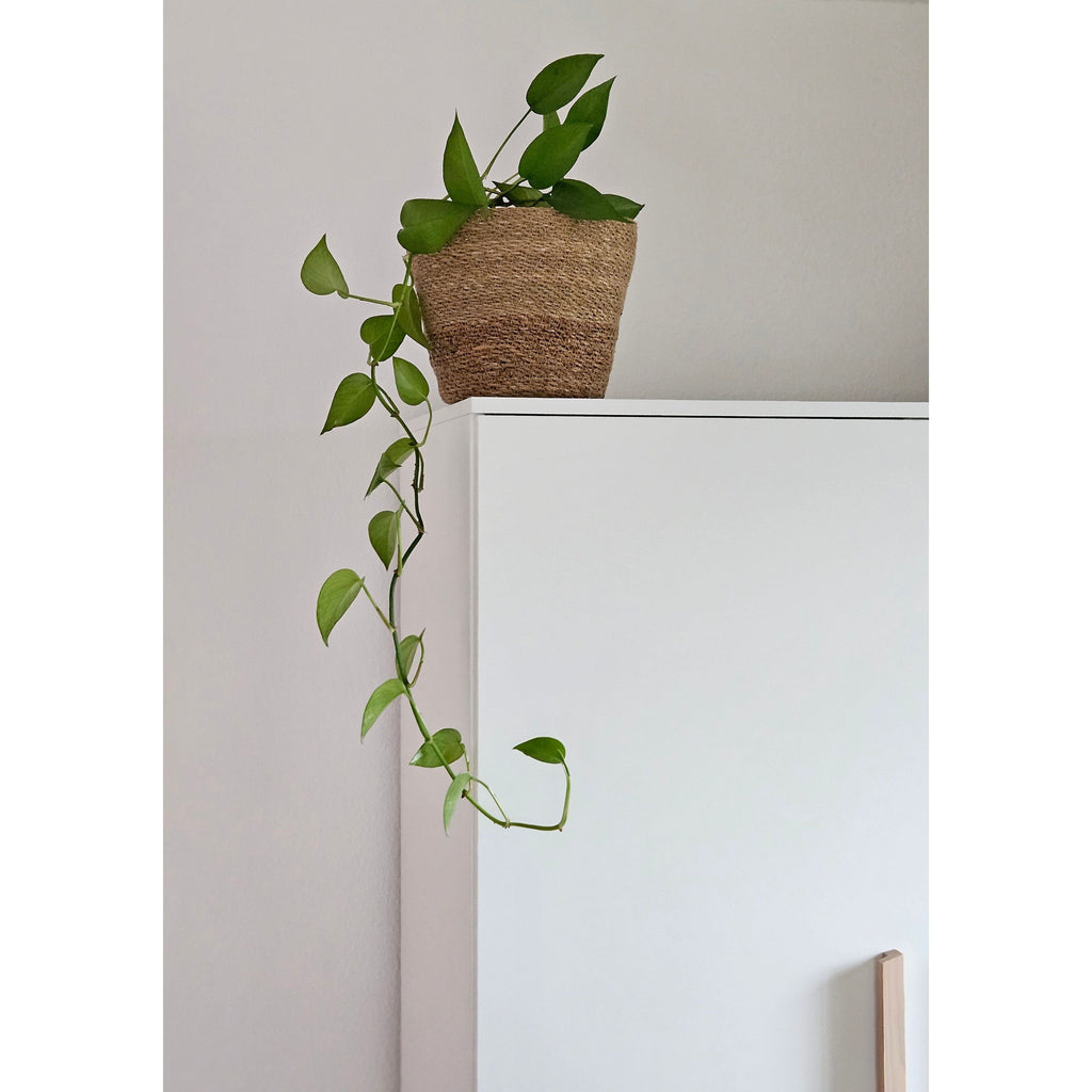 Blumentopf Pflanztopf Pflanzkorb Korb Übertopf Seegras braun rund Groß Ø 25 cm